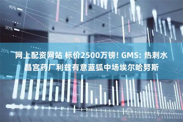 网上配资网站 标价2500万镑! GMS: 热刺水晶宫药厂利兹有意蓝狐中场埃尔哈努斯