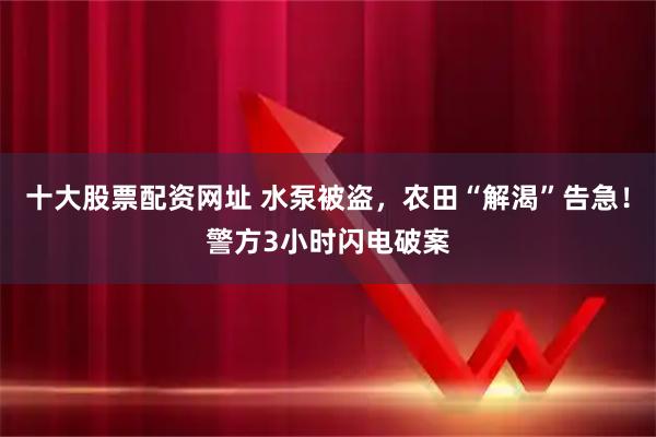 十大股票配资网址 水泵被盗，农田“解渴”告急！警方3小时闪电破案
