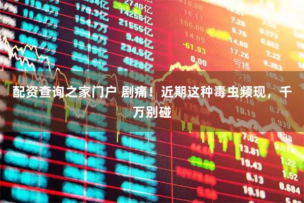 配资查询之家门户 剧痛！近期这种毒虫频现，千万别碰